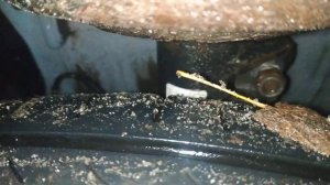 Скрип стойки весты