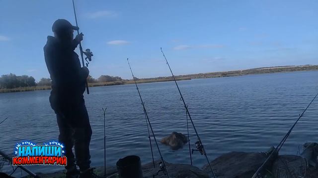 МОНСТР ОСТРОВ МАХАРТЕТ ЗАПОРОЖЕЦ ДНЕПР #fishing #рыбалка #днепр смотреть онлайн