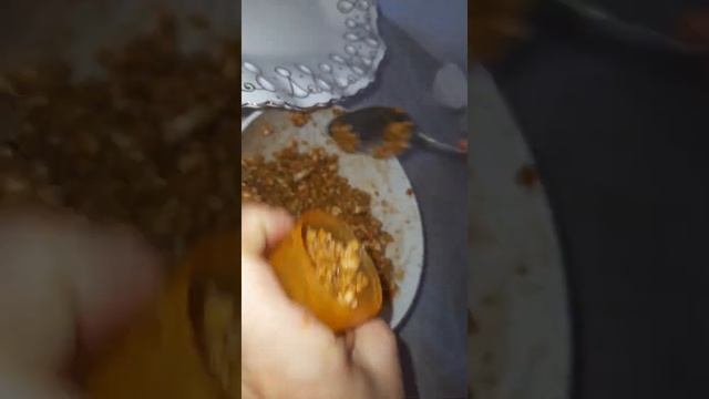 Муравейник 3мин /тс дайындалады смотреть онлайн