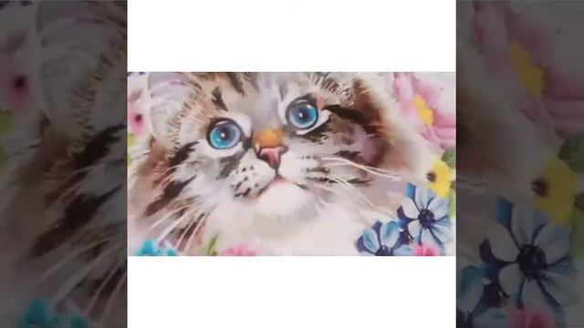 Канцтовары в 6 класс смотреть онлайн