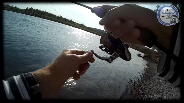 31 августа. Голавли переката реки АЙ. смотреть онлайн