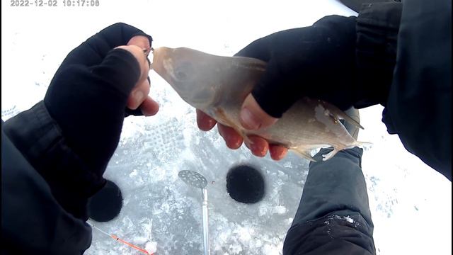 открытие зимнего сезона на Истре 02. 12. 22 смотреть онлайн