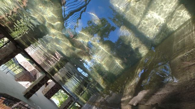 Обед в ресторане Абхазский двор ч5