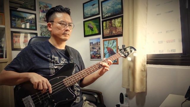 The Winner Takes It All - Bass Cover смотреть онлайн