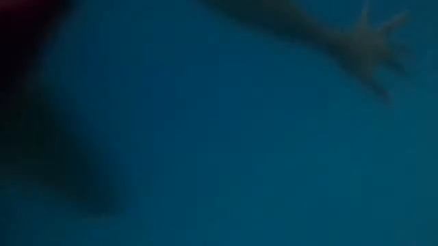 Мы в бассейне/Izabella EV/Лето 2018/Я в лагере?!) смотреть онлайн