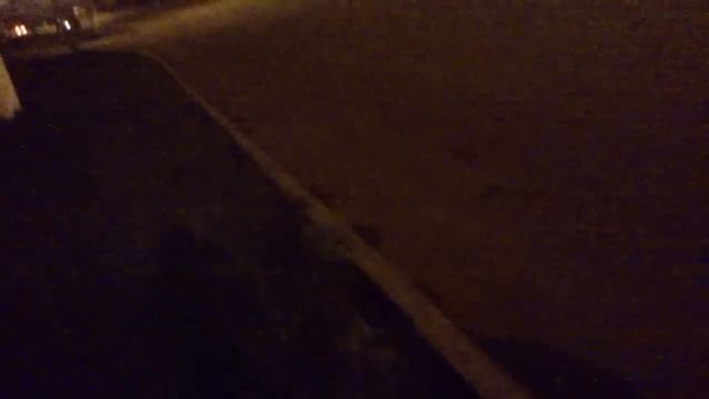 Паук Стингер + резонатор Стингер + банка сток [Priora]