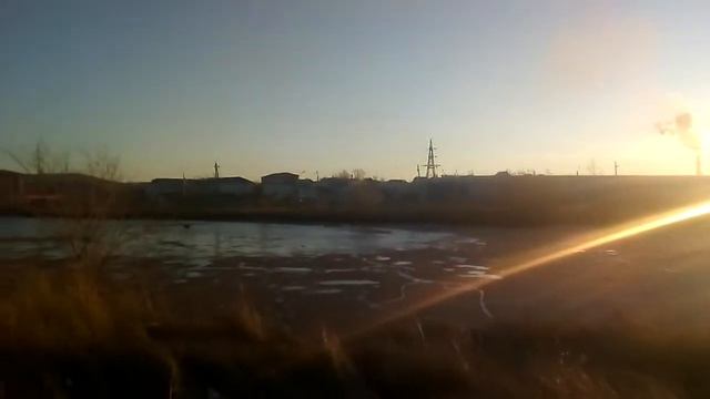 Affordable Alternatives