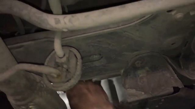 Грибные красоты