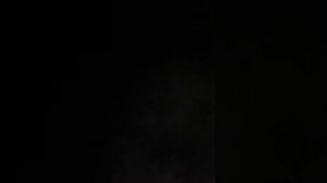 Кошка ПРОТИВ ёжика