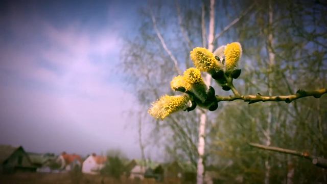 Пчелы и Трутни , Такого еще не было ☠️ смотреть онлайн