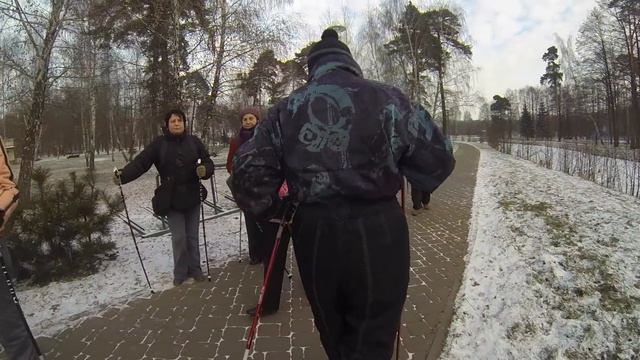 6 важных элементов в технике скандинавской ходьбы смотреть онлайн