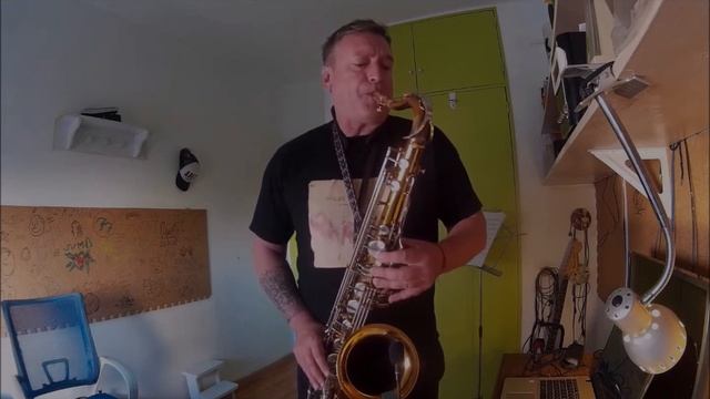 A groovy Kind of Love Phil Collins cover Tenor Sax смотреть онлайн