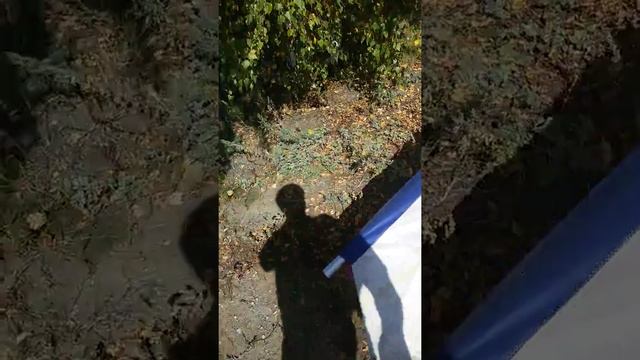 самодельный мотодельтаплан (крыло) смотреть онлайн
