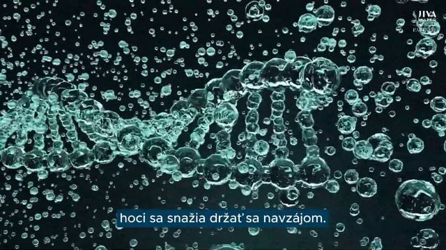 Vedomá voda - cesta vody, ktorá stratila svoju prirodzenú energiu. смотреть онлайн