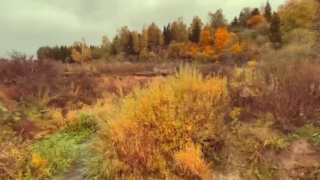 Переделка настольной лампы?/Декор старой дачи?/Домик в осеннем лесу? #дачныйдекор #cottagecore