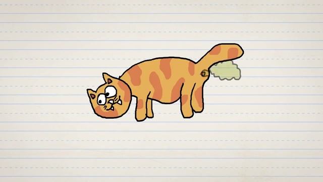 Почему Собаки Лучше Кошек Кто Умнее Кошки Или Собаки