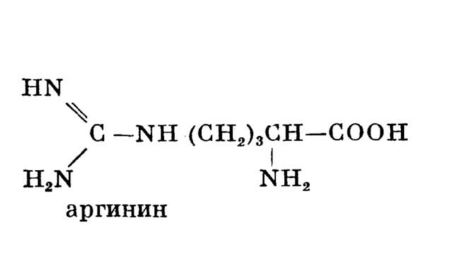 масло черного тмина. черный тмин смотреть онлайн