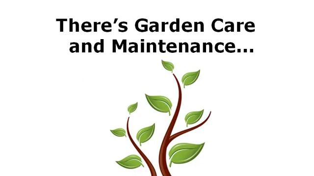 Exterior House Cleaning Announces 3 New Services смотреть онлайн