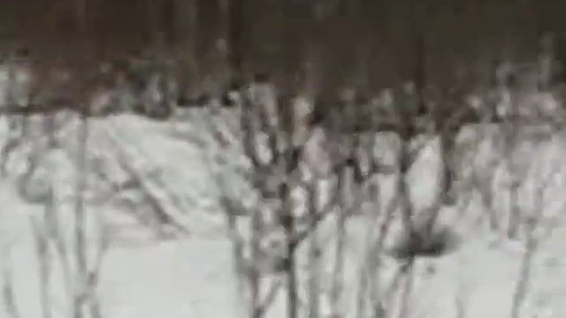самодельный снегоход. ПОПОЛЗЕН-12 смотреть онлайн