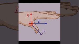 Определение направления силы Лоренца