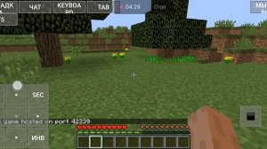 как играть по сети в PojavLauncher