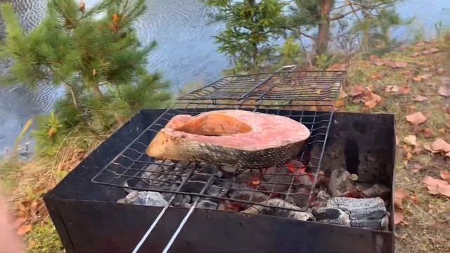 Сёмга на углях смотреть онлайн