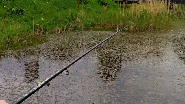 МОЙ ДЕНЬ ПРОВЕДЕННЫЙ НА ДАЧЕ. РЫБАЛКА НА ДАЧНОМ ОЗЕРЕ смотреть онлайн