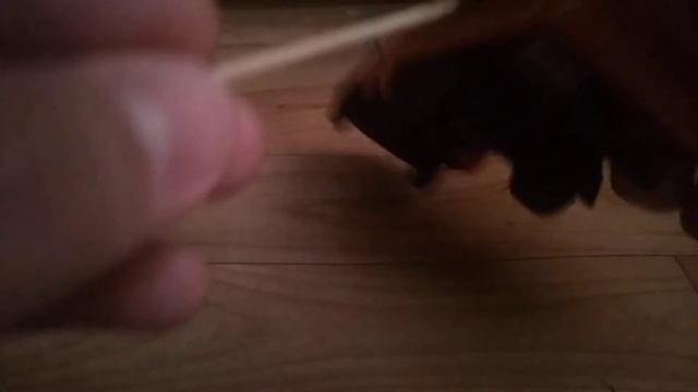 Обзор Газ-3302 Дорожная служба (Deagostini Автомобиль на службе 42) смотреть онлайн