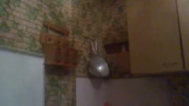 ломатель №1.mp4 смотреть онлайн