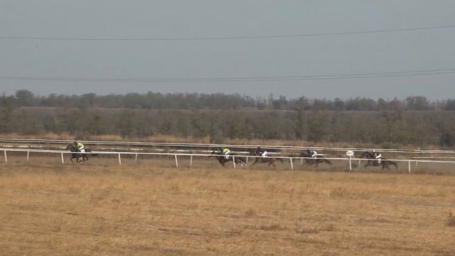 08.10.2023 - ипп. "Свободный Труд" - Приз в честь СПК "Свобода" - Салонга смотреть онлайн