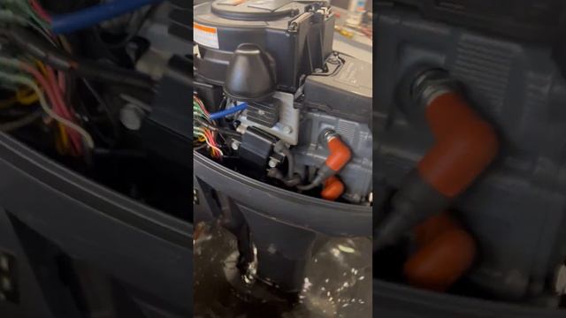 РАБОТА ЛОДОЧНОГО МОТОРА YAMAHA F 8, Нога L 508 смотреть онлайн