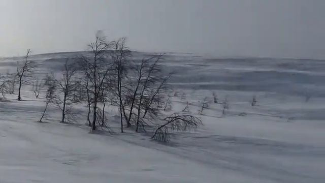 Приполярный урал смотреть онлайн