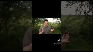 Хотели посадить инжир