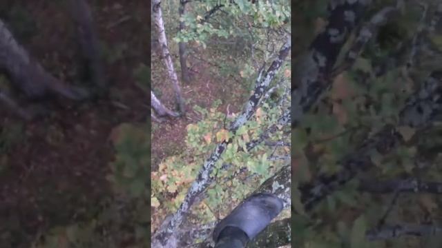 Древолазы 2) смотреть онлайн