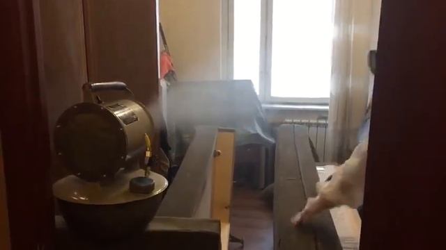 Холодный туман от насекомых, тараканов и клопов смотреть онлайн