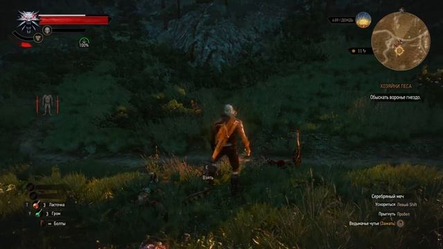 The Witcher 3 Квест Хозяйки Леса смотреть онлайн