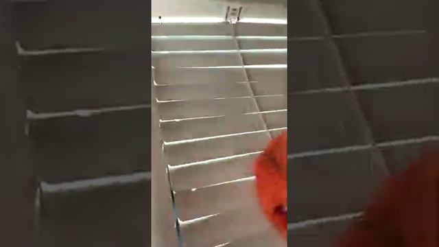 Моем жалюзи на кухне смотреть онлайн