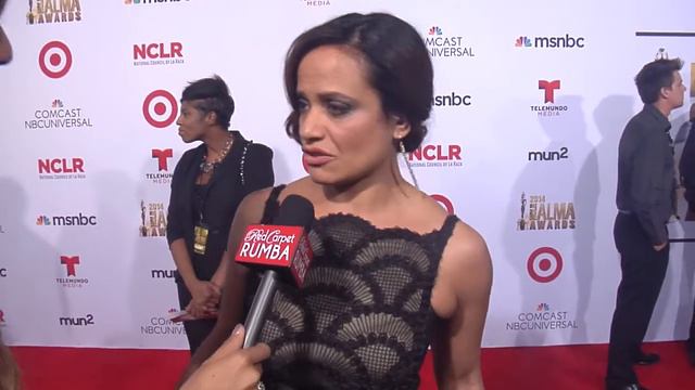 Judy Reyes at the 2014 Alma Awards смотреть онлайн