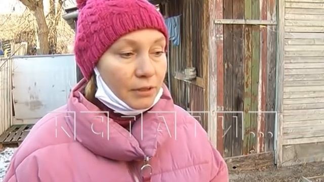 Зоозащитный произвол - породистого кота похитили на прогулке, кастрировали и отдали другим хозяевам смотреть онлайн
