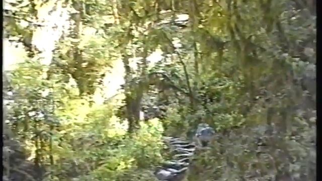 Кубанская экспедиция на Макалу 1998 год смотреть онлайн