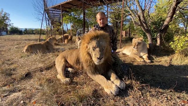 Друзья , мы вылетаем в Москву к животным попавшим в беду ! НУЖНА ВАША ПОМОЩЬ ! смотреть онлайн
