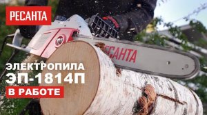 Электропила Ресанта ЭП-1814П в работе