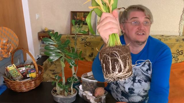 ЗЕЛЁНЫЕ ПИТОМЦЫ смотреть онлайн