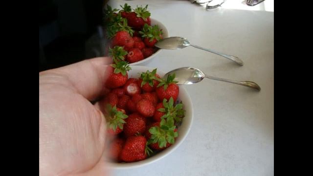 Мой садовый участок. Все в прошлом. My garden, my favorite flowers. смотреть онлайн