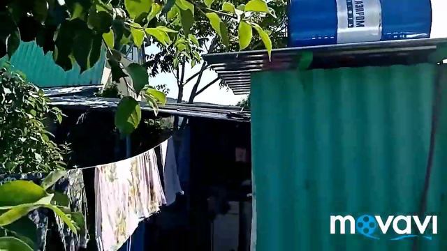 В гостях у родителей. Обзор сада🌺🌺🌺 смотреть онлайн