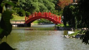 16. Путешествие в Буэнос Айрес. Аргентина