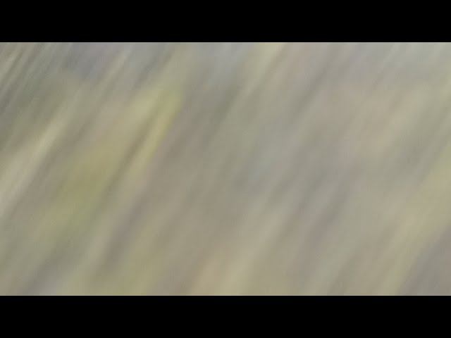 Утренний Автозвук. Стрим #202 смотреть онлайн