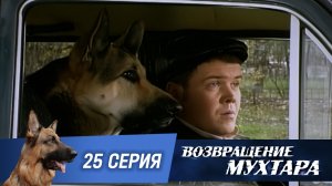 «Возвращение Мухтара»: «Страховая афера» (1 сезон. 25 серия)