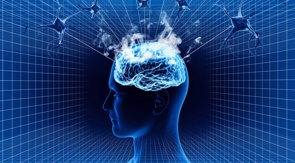 Тайны мозга - В стадии развития