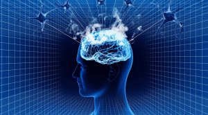 Тайны мозга - В стадии развития